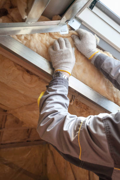 Best Insulation Maintenance and Repair in Woodbine, GA