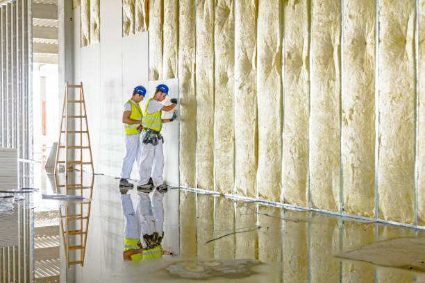Best Commercial Insulation in Woodbine, GA